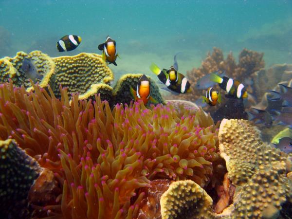 Western Australia wildlife holiday