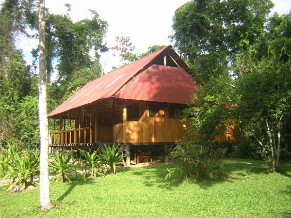 Cloudforest holiday to Manu National Park