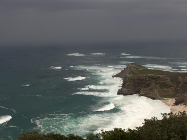 Western Cape wildlife holiday in South Africa