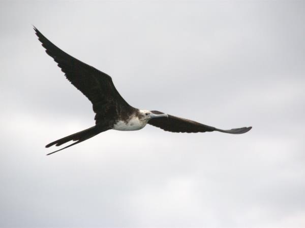 Galapagos tailor made adventure holiday