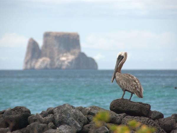 Galapagos tailor made adventure holiday