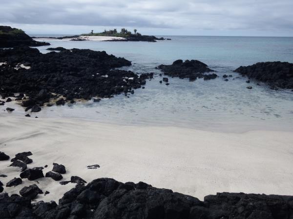 Floreana Island wildlife tour, Galapagos Islands