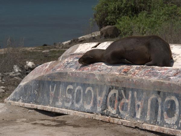 Galapagos adventure holiday