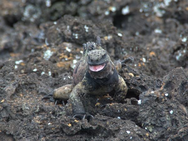 Galapagos adventure holiday