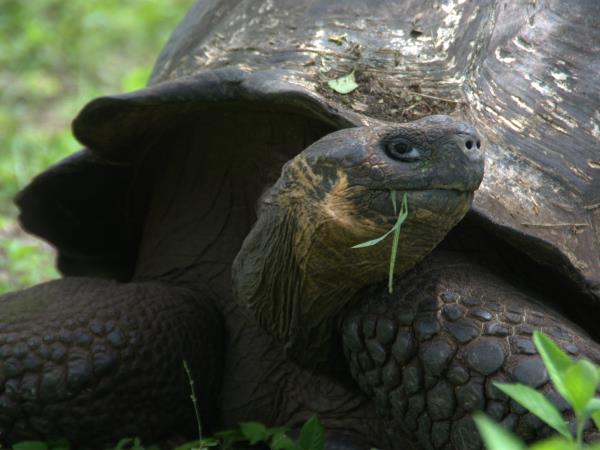 Galapagos adventure holiday