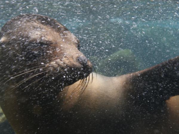 Galapagos adventure holiday
