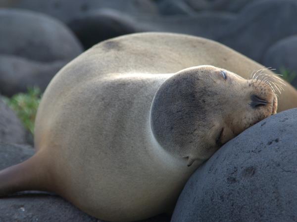 Galapagos adventure holiday