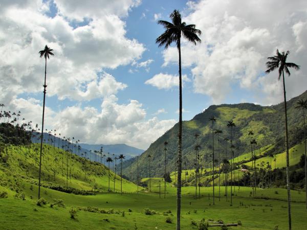 Colombia tailormade holiday