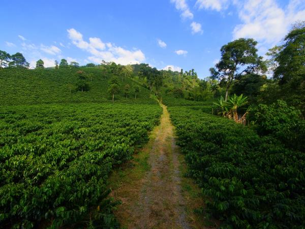 Colombia tailormade holiday