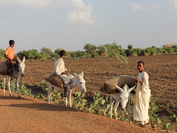 Sudan cultural holiday