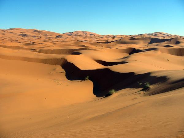 Painting holiday in Moroccan desert