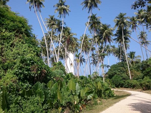 Sri Lanka sketching and painting holiday