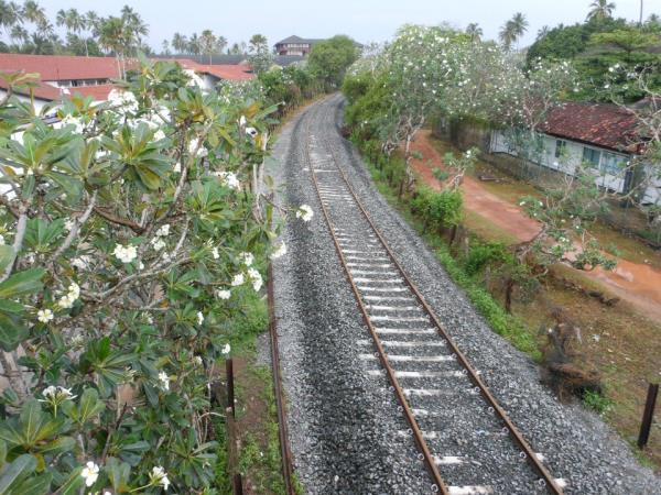 Sri Lanka sketching and painting holiday