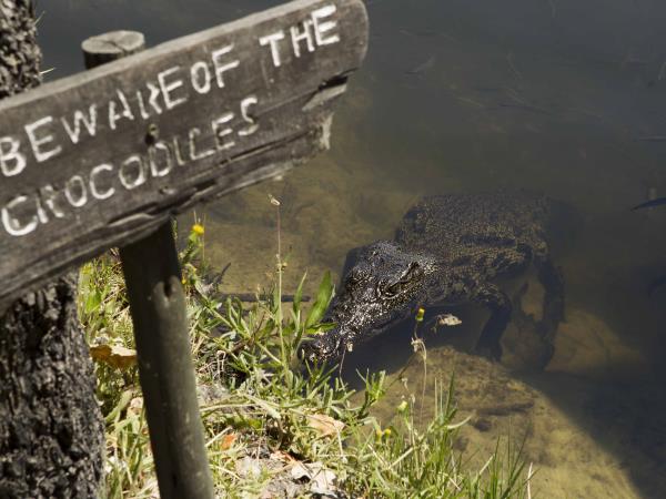 Okavango Delta and Victoria Falls luxury holiday