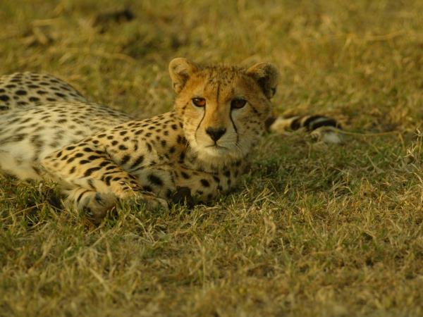 Tanzania highlights holiday