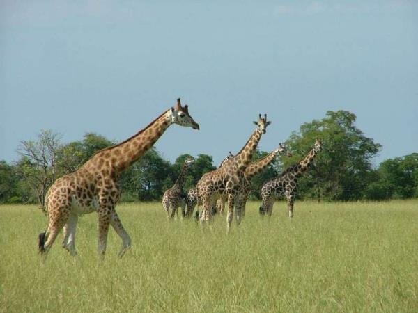 Best of Uganda holiday
