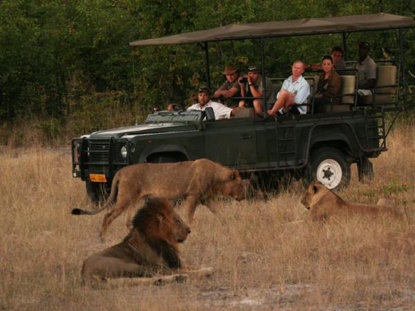 Zimbabwe safari holiday, tailor made