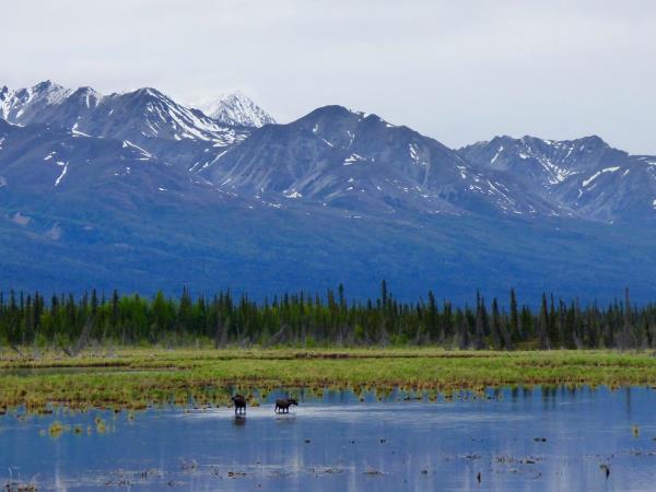 Calgary to Anchorage adventure holiday, Goldrush Trail