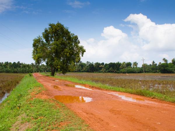 Kerala backwater holiday, India