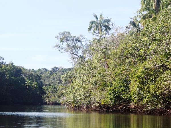 Cambodia tailor made tour, nature & heritage