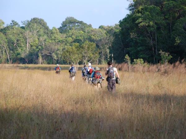 Cambodia tailor made tour, nature & heritage