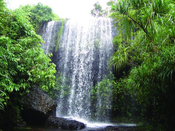 Cambodia tailor made tour, nature & heritage