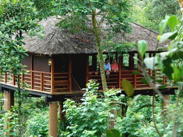 Kerala tailor made holiday, 11 days