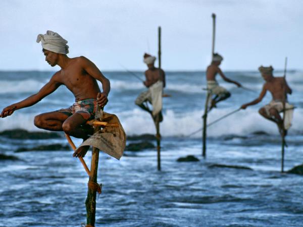 Highlights of Sri Lanka tour