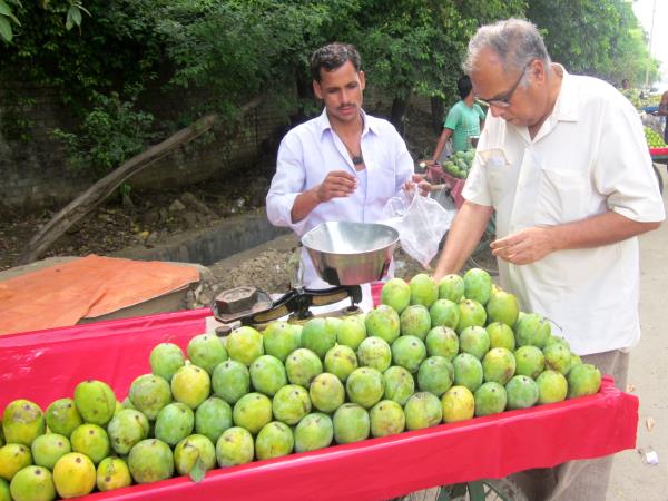 Highlights of Sri Lanka tour