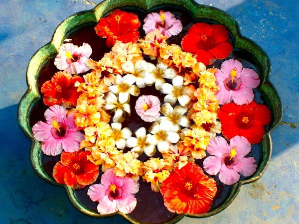 Karnataka 12 day tour, India