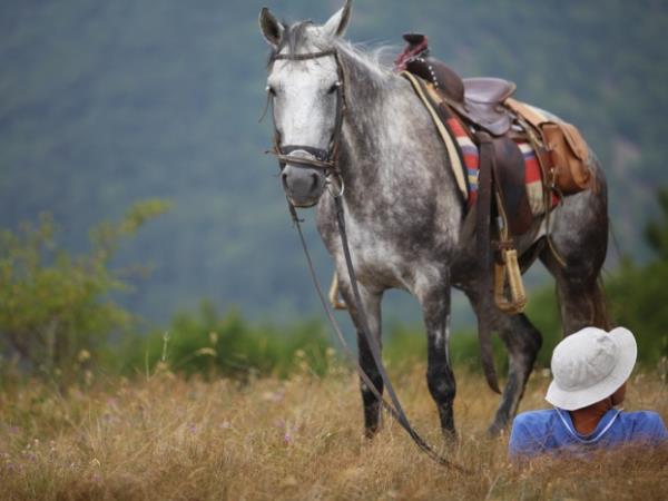 Bulgaria horse riding holiday