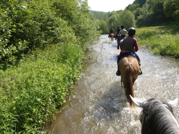 Bulgaria horse riding holiday
