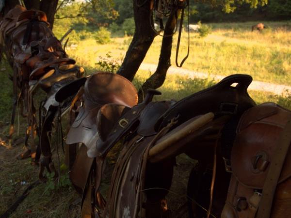 Bulgaria horse riding holiday