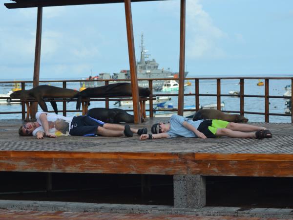 Galapagos family holiday, hotel based