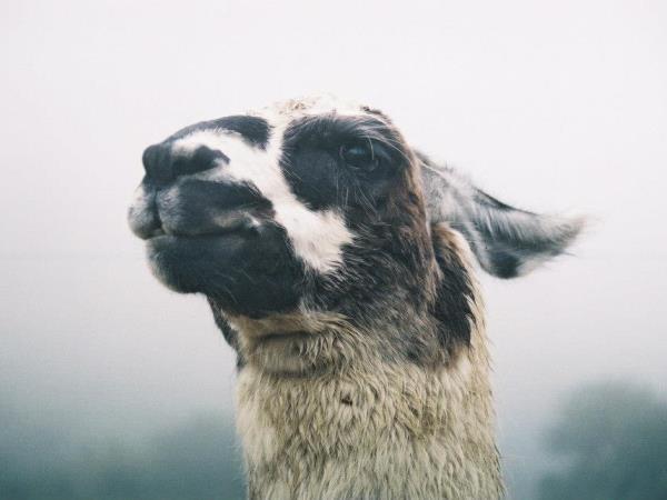 Peru walking and cultural holiday