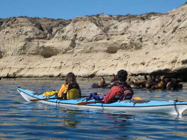 Sea kayaking in Patagonia, Chile
