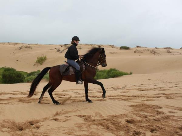 Morocco horse riding holiday, beach ride