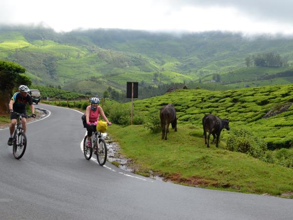 Cycling holidays in Kerala