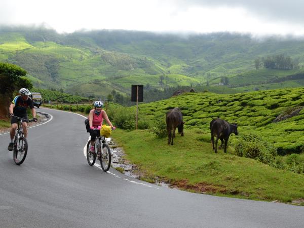 Cycling holidays in Kerala.