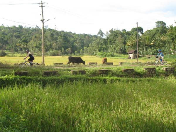 Cycling holidays in Kerala