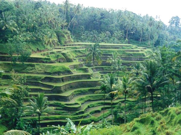 Tailor made holiday in Bali, Off the beaten track