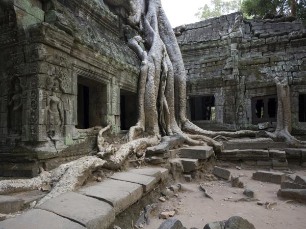 Cambodia tailor made, from Angkor Wat to Kep