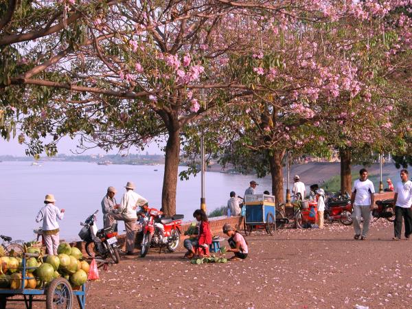 Cambodia tailor made, from Angkor Wat to Kep
