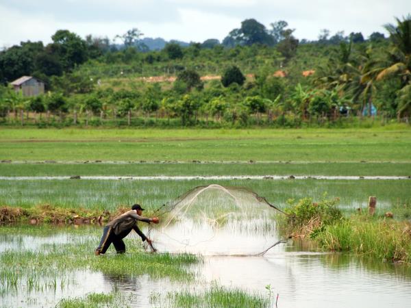 Cambodia tailor made, from Angkor Wat to Kep