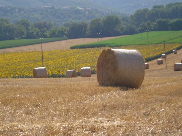 Umbria self guided walking holiday, Italy