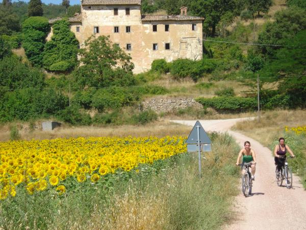 Umbria self guided cycling holiday, Italy