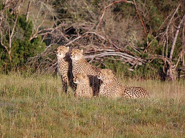 Garden Route holiday, tailor made, South Africa