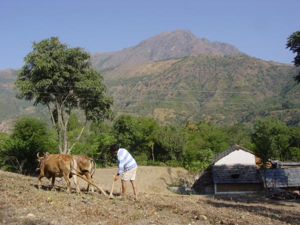 North India holiday, mountains and hidden villages