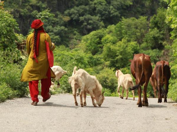 North India holiday, mountains and hidden villages