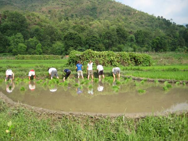 North India, Himalayas and Shimla toy train tour